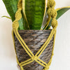 Porta vaso Kiwi