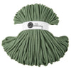 Braided EUCALYPTUS GREEN